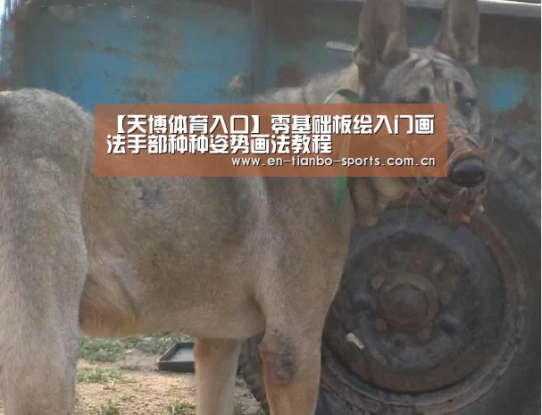 天博体育官网
