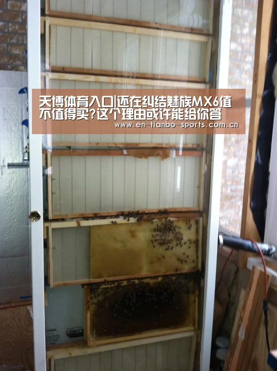 天博体育入口