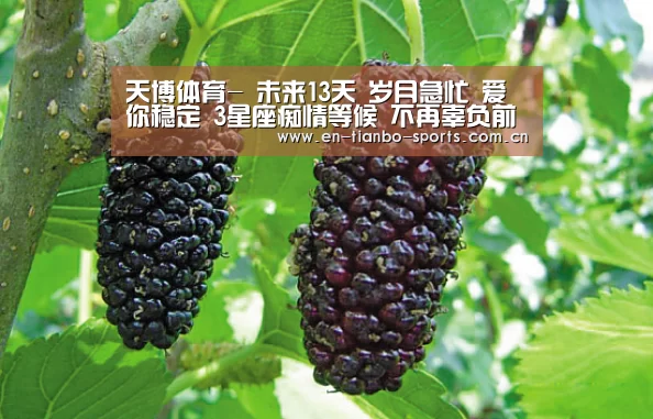 天博体育入口